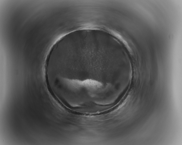 X0000095941463200801251100