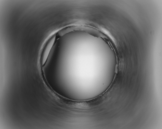 X0000095941464200801251100