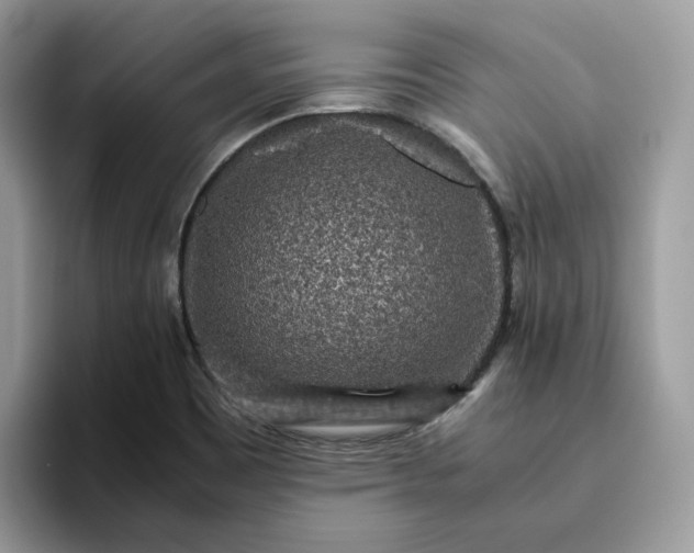 X0000095941465200801251100
