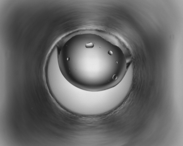 X0000095941468200801251100