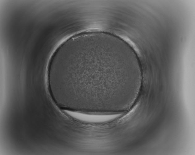 X0000095941469200801251100