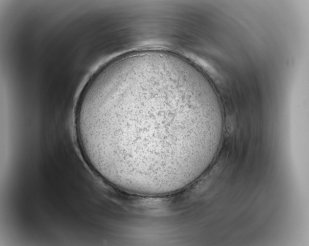 X0000095941470200801251100