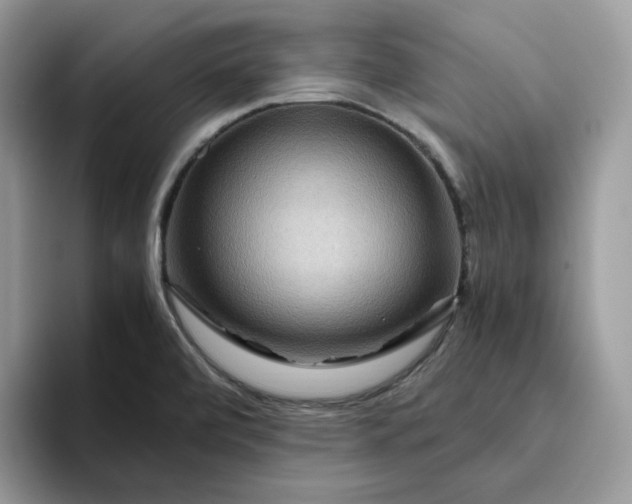 X0000095941472200801251100