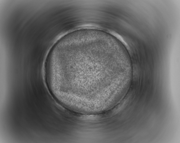 X0000095941474200801251100