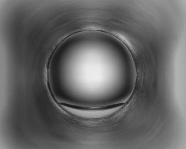 X0000095941476200801251100