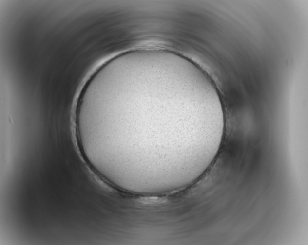X0000095941478200801251100