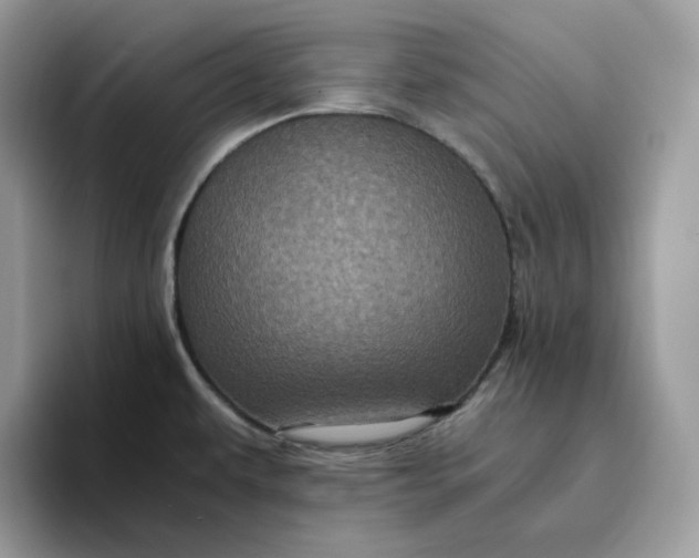 X0000095941479200801251100