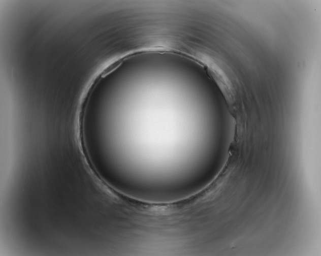 X0000095941480200801251100
