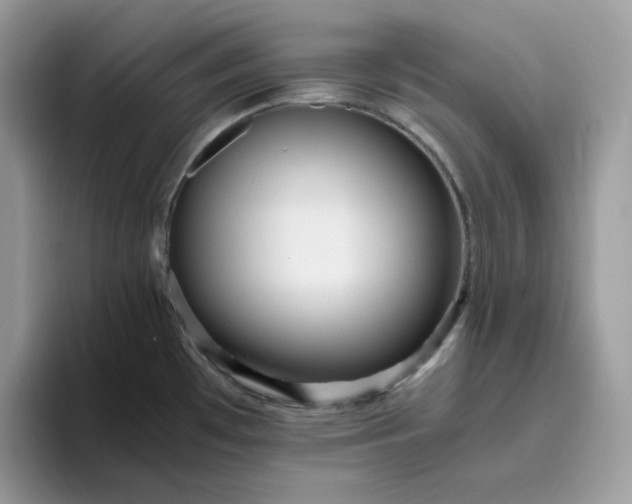 X0000095941481200801251100
