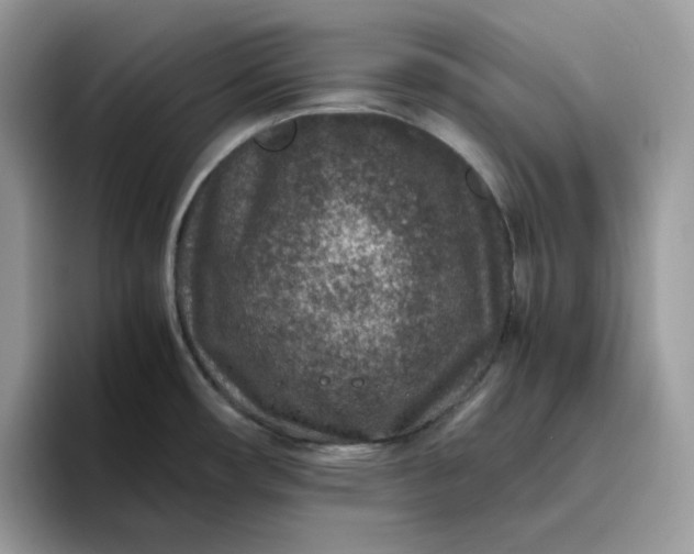 X0000095941482200801251100