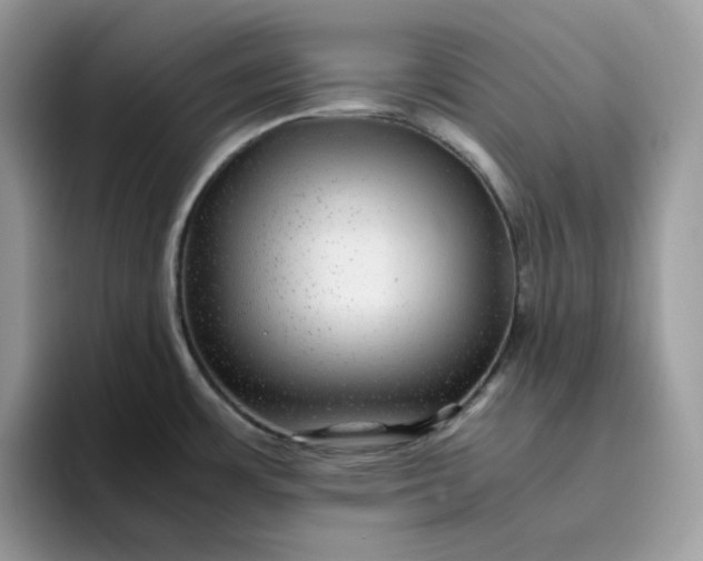 X0000095941483200801251100