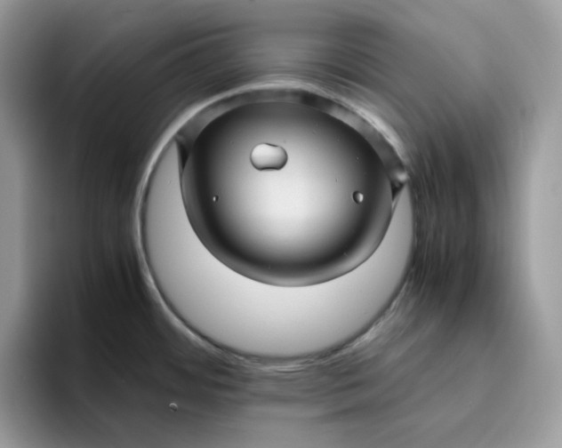 X0000095941484200801251100