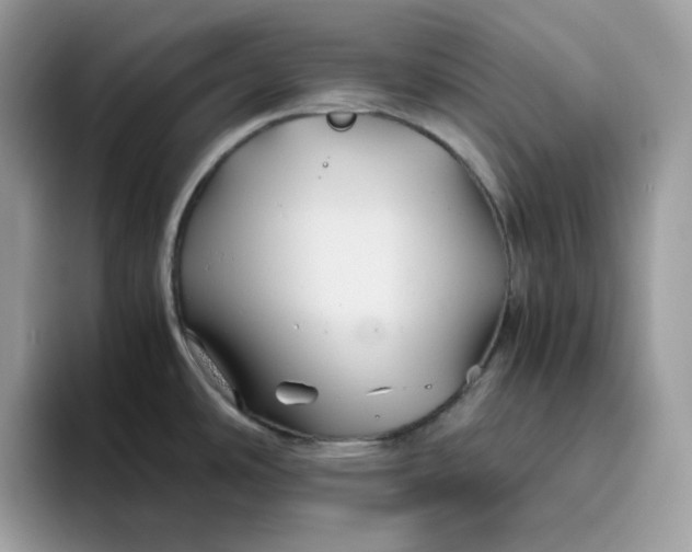 X0000095941486200801251100