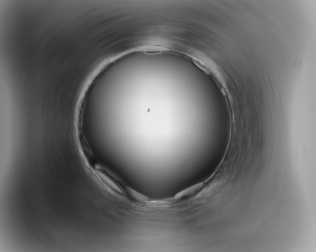 X0000095941488200801251100