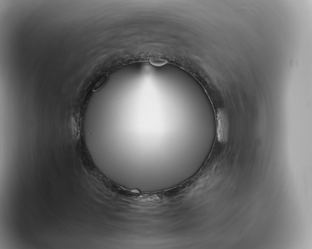X0000095941491200801251059