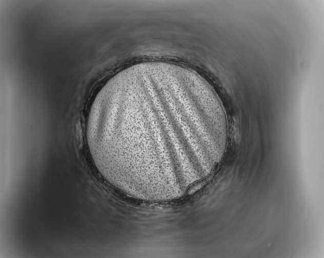 X0000095941493200801251059