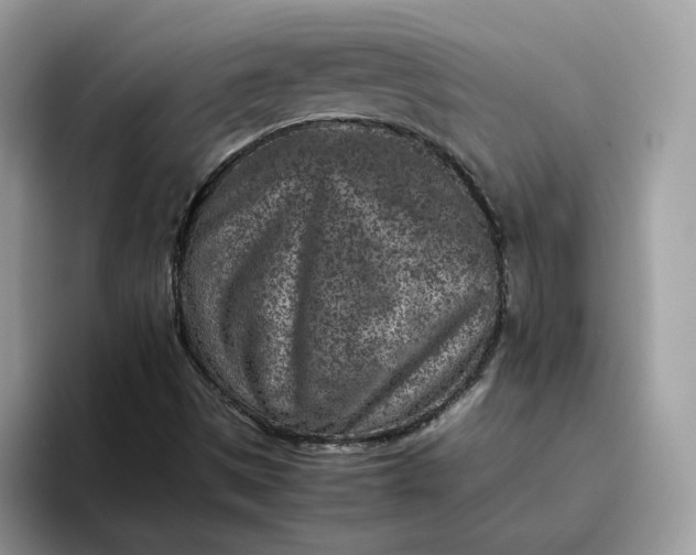 X0000095941497200801251059