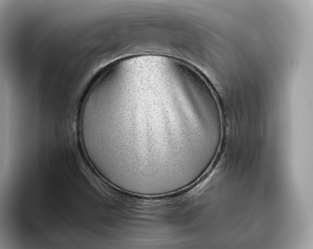 X0000095941499200801251059