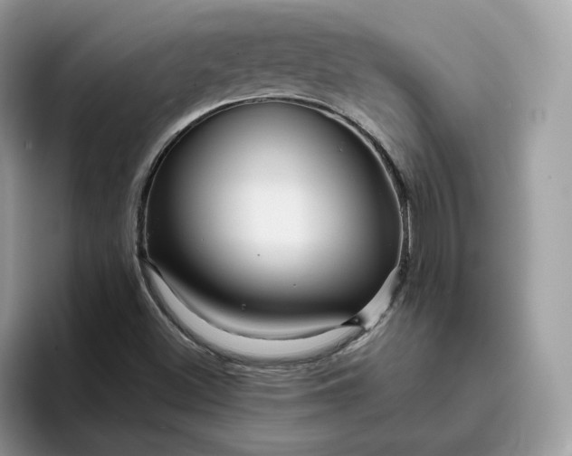 X0000095941500200801251059