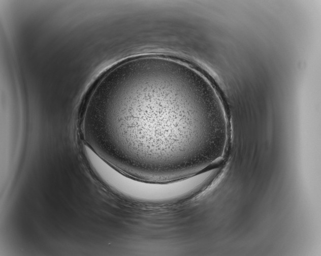 X0000095941501200801251059