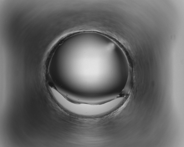 X0000095941502200801251059