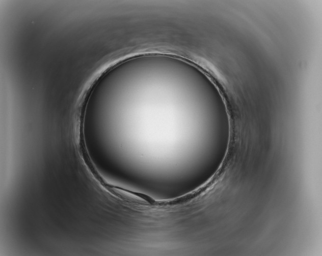 X0000095941504200801251059