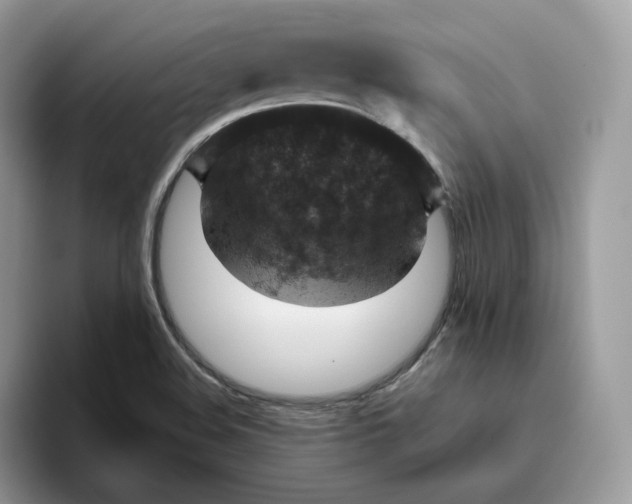 X0000095941508200801251059