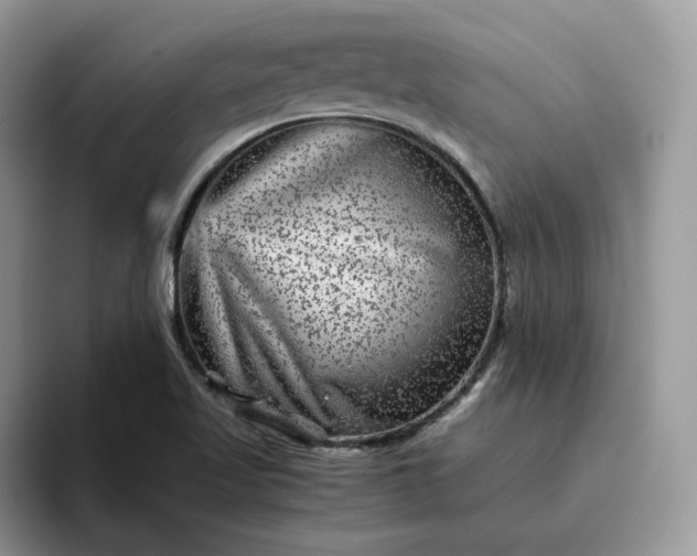 X0000095941509200801251059