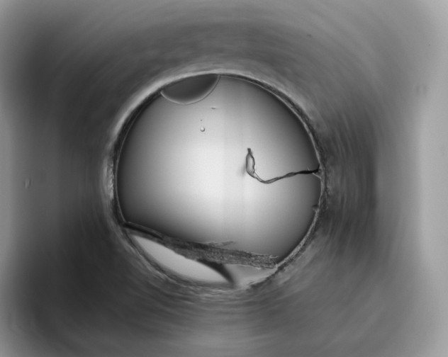 X0000095941510200801251059