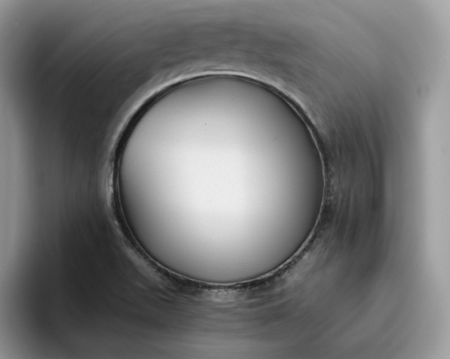 X0000095941511200801251059