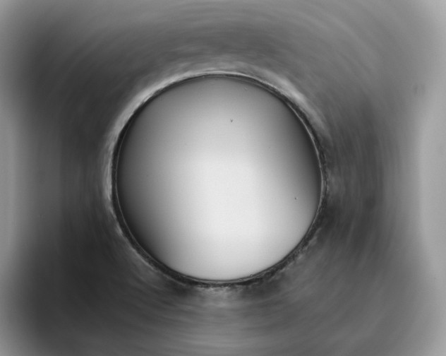 X0000095941512200801251059