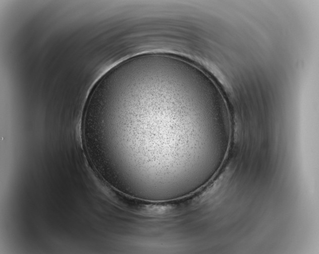 X0000095941513200801251059