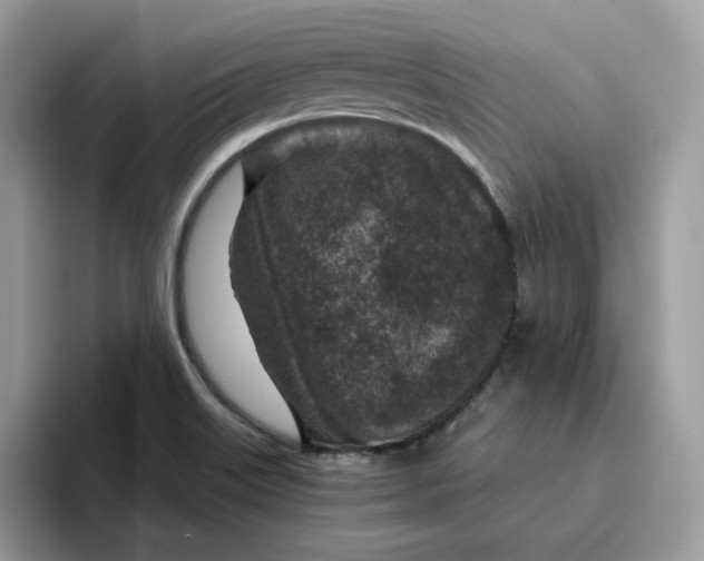 X0000095941515200801251059
