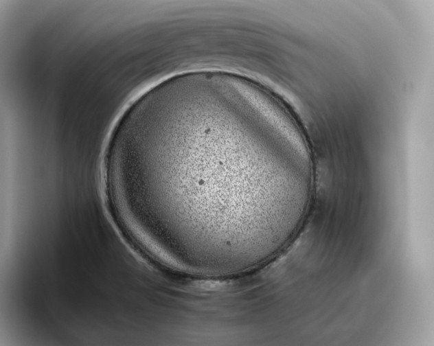 X0000095941517200801251059