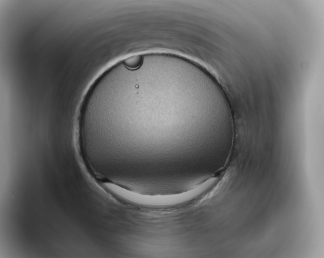 X0000095941518200801251059