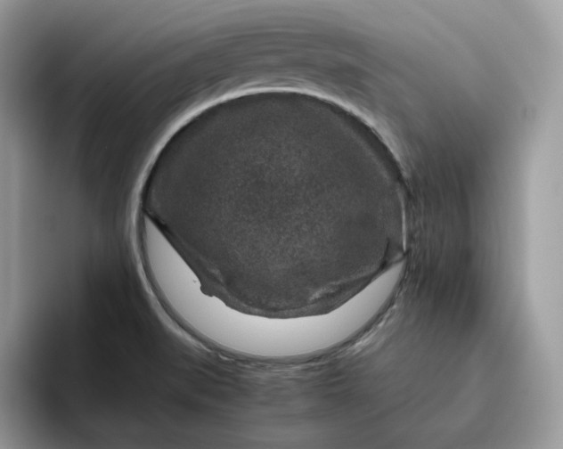 X0000095941519200801251059