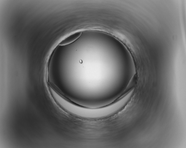 X0000095941520200801251059