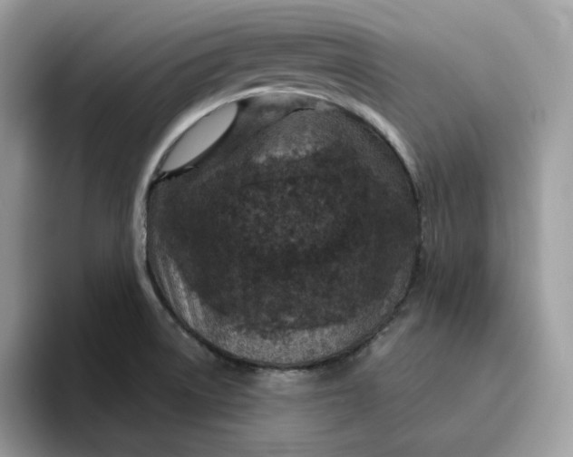 X0000095941522200801251059
