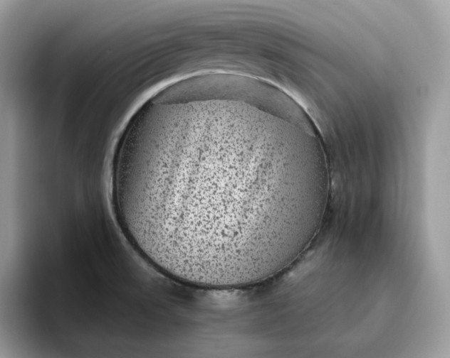 X0000095941523200801251059