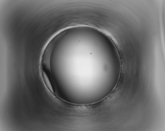 X0000095941524200801251059