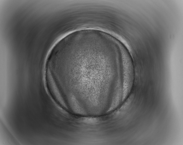X0000095941525200801251059