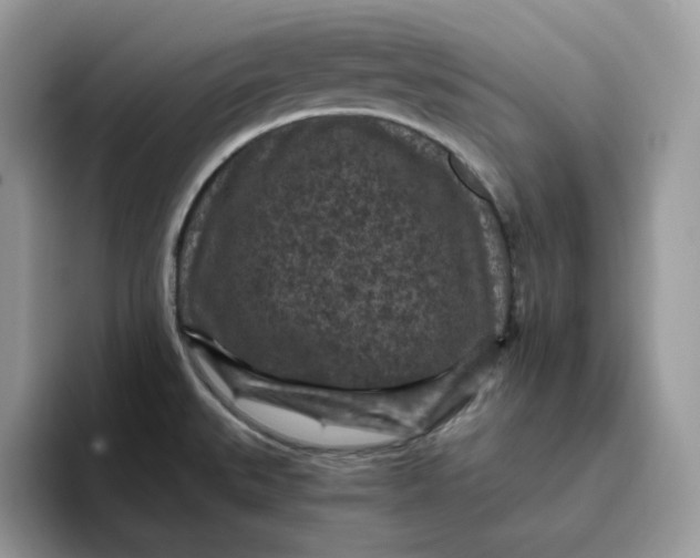 X0000095941527200801251059