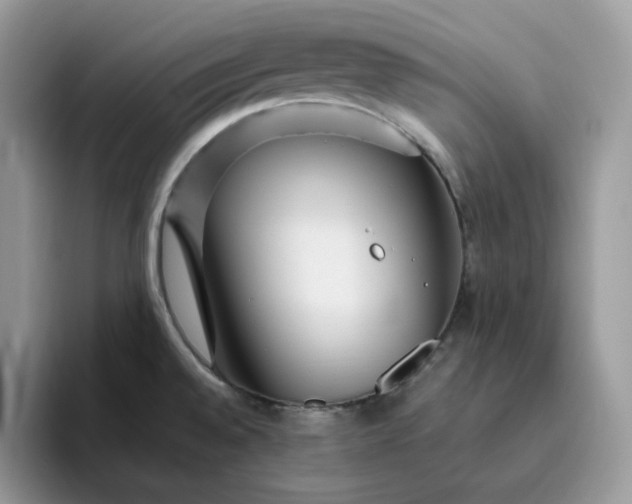 X0000095941528200801251100
