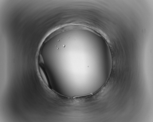 X0000095941530200801251100