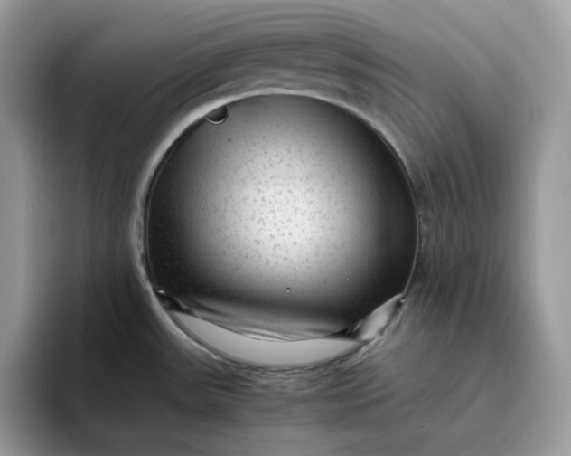 X0000095941531200801251100