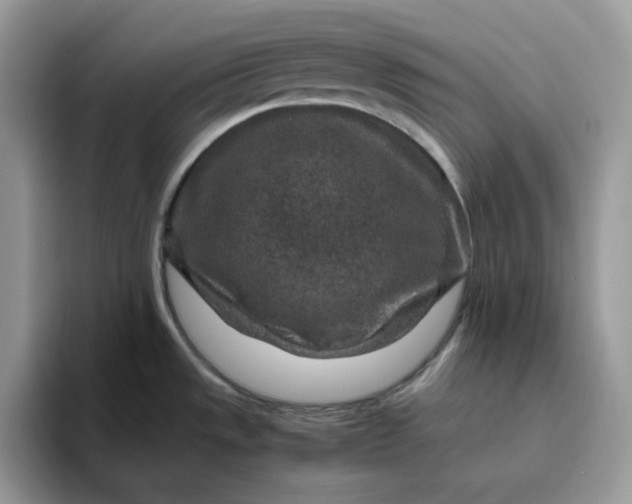 X0000095941533200801251100