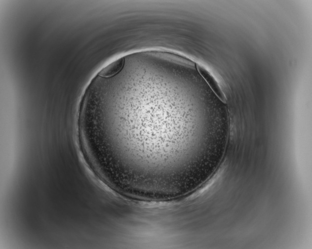 X0000095941534200801251100