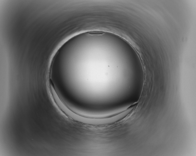 X0000095941536200801251100