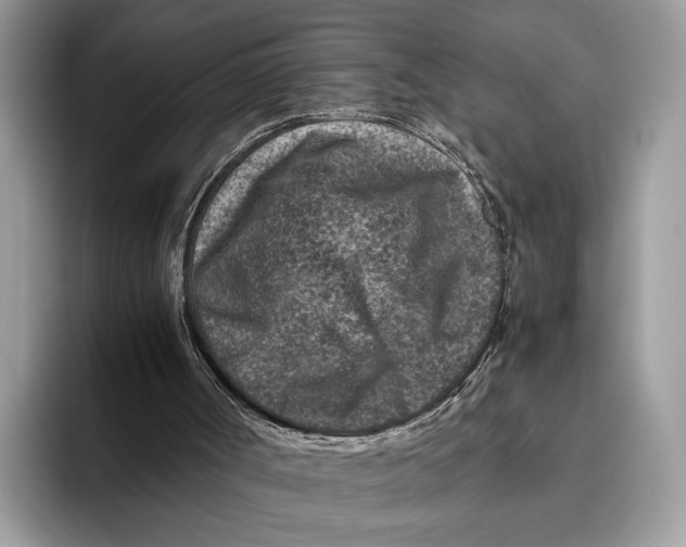 X0000095940002200802011051