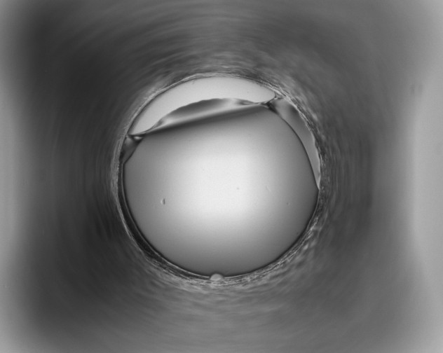 X0000095940003200802011051